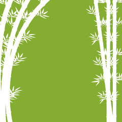 Background design with white bamboo on green