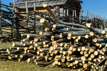 Pile of firewood. Preparation of firewood for the winter.
