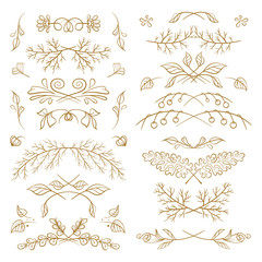 Vector hand drawn floral elements set.