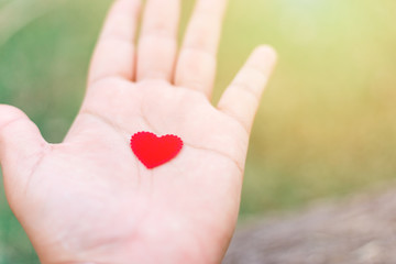 Fototapeta premium Holding a red heart in hands on green background.