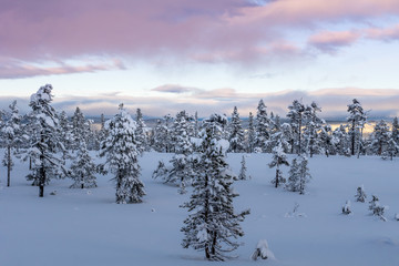 Winter view from a national park in the mountains in Sweden © Magnus