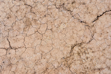 Brown dry soil or cracked ground texture background.