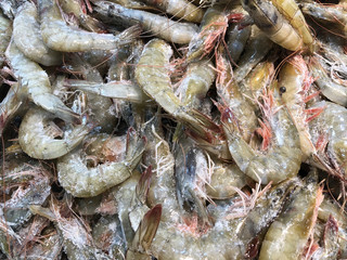 fresh raw seafood shrimps on fishers market table
