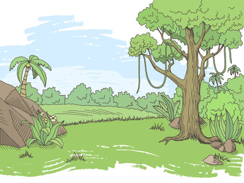 Jungle forest graphic color landscape sketch illustration vector