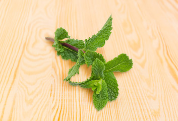 Twig of the fresh mint closeup on a wooden surface