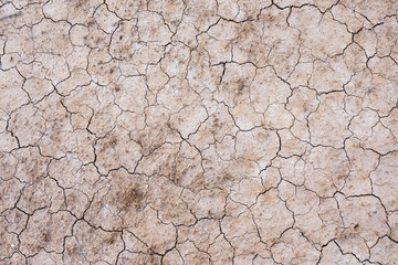 Brown dry soil or cracked ground texture background.