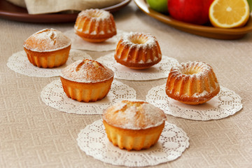 fresh biscuit muffins