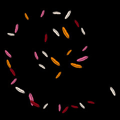 Colorful feathers. Prints of Colored feathers Design for Goods for Pets. Simple Pattern for Print, Logo or Poster. Vector Confetti Background.