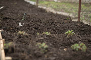 Bed and garden shovel