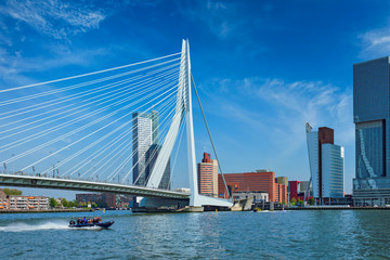 Rotterdam cityscape