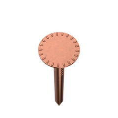 Copper nail. Top view. Isolated on white background.