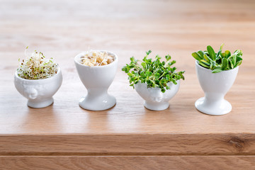 Different types of micro greens in white bowls for sauces on wooden background. Fresh garden produce organically grown, symbol of health and vitamins. Microgreens ready for cooking. Copyspace for text