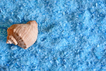 Seashell on soluble crystals blue sea salt with foam for bath tube for aroma therapy and spa salon...