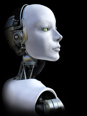 3D rendering of female robot head.