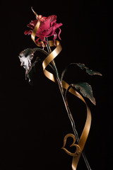 The rose with a red bloom and a green stalk and gold heart made of metal, on black background.