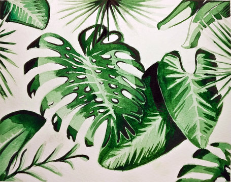 watercolor plant background