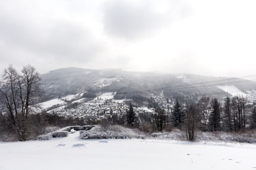 Snow on the tree branches. Winter View of trees covered with snow. The severity of the branches under the snow.