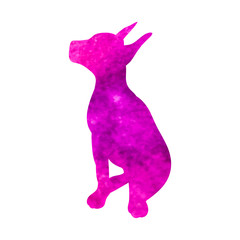 vector, isolated, watercolor silhouette dog