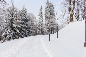 Photo of snowy landscape covered with snow and road in winter