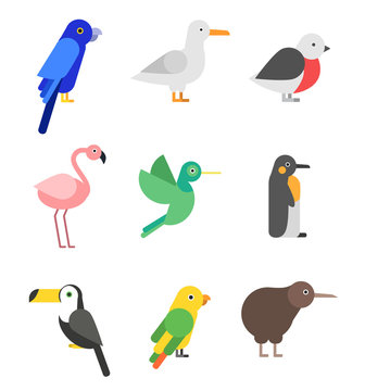 Exotic birds in flat style. Stylized pictures set