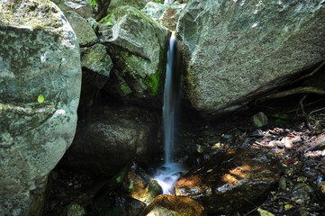 Mountain spring cascade