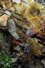 Mountain spring cascade