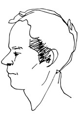  vector sketch of a beautiful man profile