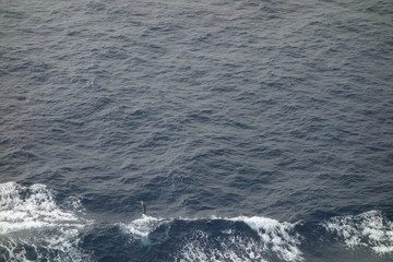 Delphine Delfine Wellen