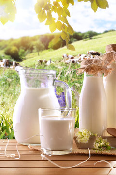 Glass containers filled with cow milk in a meadow vertical