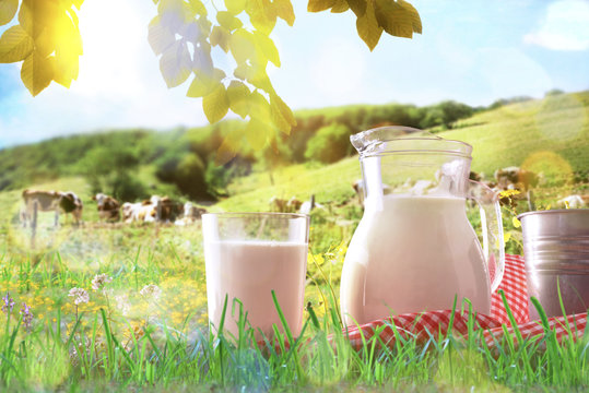 Glass containers filled with milk on tablecloth in the grass