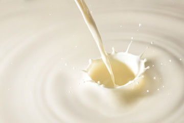 Stream of milk falling on milk background and splashing drops