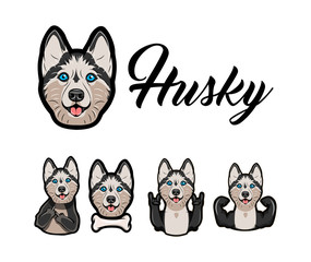 Siberian Husky with different gestures and bone. Middle finger, musculs, horns. .