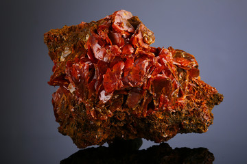 Quartz crystals coated with iridescent limonite .