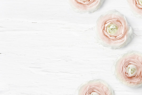 Styled stock photo. Feminine desktop mockup with buttercup flowers, Ranunculus, empty space and shabby white background. Top view. Picture for blog or social media.