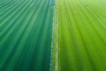 Irrigation system in wheat field