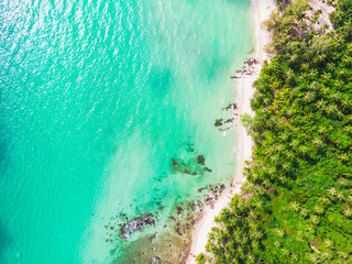 Aerial view of beautiful beach and sea with coconut palm tree