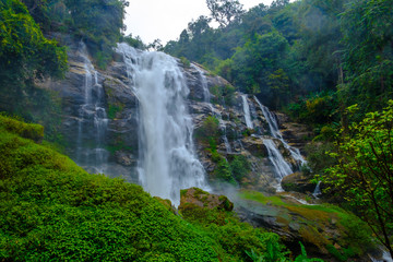 Water fall scenery wildlife at Doi Inthanon, Chiang Mai Province, Thailand