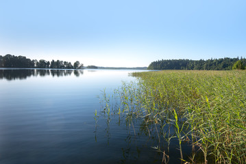 Morning at Aluksne lake, Latvia.