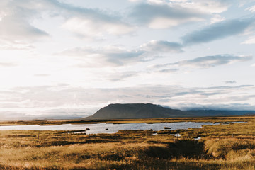 beautiful icelandic landscape with fjord and grassy shore