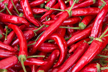 Close-up of a fresh spicy chili pepper, showing vibrant color and texture.