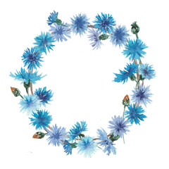 Obraz premium Watercolor cornflowers wreath