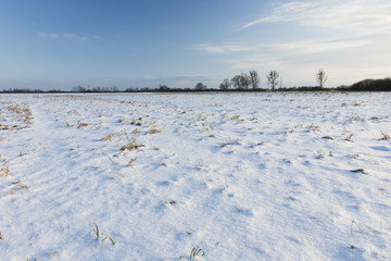 Fototapeta na wymiar Snow on the field and blue sky