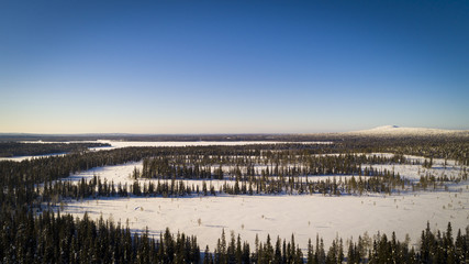 Aerial drone view of idyllic winter landscape. Green  snow covered forest from the top, sun rise in finland, nature from a birds eye view.