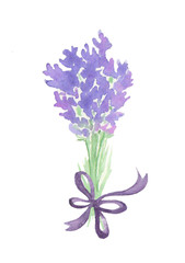 Watercolor bouquet of lavender