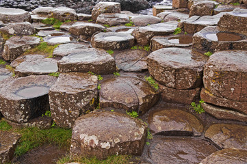 The Giant's Causeway in Northern Ireland.