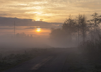 Foggy road during sunrise