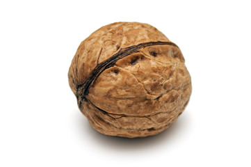 Walnut