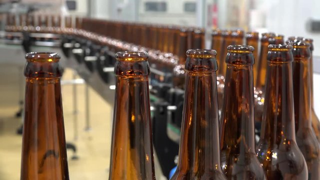 Automatic Beer Bottling Line. Queue of empty bottles on the conveyor.