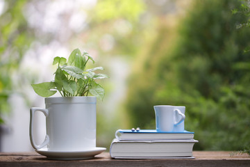 White cup with green plant at outdoor