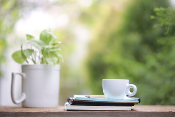 White cup with green plant at outdoor